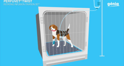 Hund i bur hos veterinær. Foto