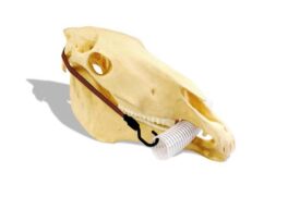 HDE Incisors mouth opener