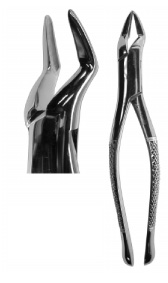 Tanntang cislak EX23