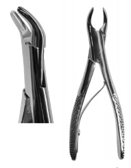 Tanntang cislak EX26