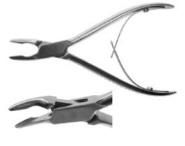 Tanntang cislak EX31