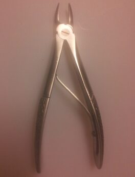 Tanntang liten, 11cm