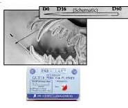 Gutta Percha 60mm, #45,50,55