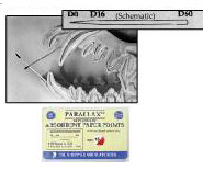 Paper points 60mm, # 15,20,25