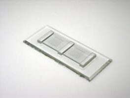 McMaster tellekammer