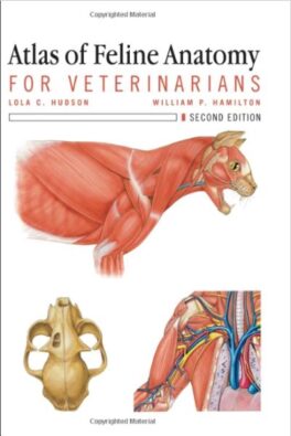 Hudson: Atlas of Feline Anatomy for Veterinarians
