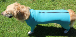 Dog body m/bein og glidelås, unisex, XS