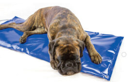 Varmematte Carbon Tech 52x62cm, blå