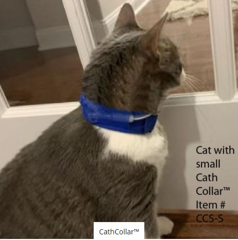 Esophagostomy collar for cats best sale