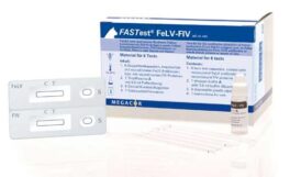 Fastest FELV+FIV testkit, 25stk