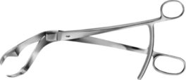 Bone holding forceps Verbrugge, 25,5cm FO181R