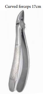 HDE tanntang 17cm, krum