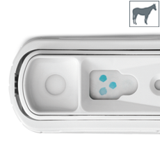 IDEXX SNAP Foal IgG, 10 stk.