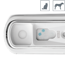 IDEXX SNAP Giardia, 15stk