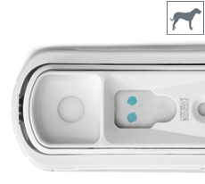 IDEXX SNAP cPL (Canine pancreas-specific lipase), 10stk