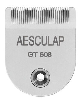 Klippehode Isis, GT608