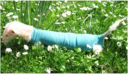 Beskyttelsesstrømpe, konisk