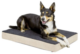 Hundemadrass MemoryFoam 115x75x8cm, beige/antasitt