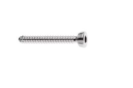 PLS Polyaxial screw 2,0mm, core D:1,5mm L:20mm VN531S