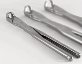 Pegasos Molar Forceps Pony