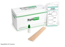 RapidVet-H Canine Blodtypetest Hund 5-pakk