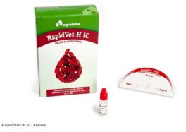 RapidVet-H IC Feline Blodtypetest Katt 5-pakk