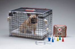 Smart Oxygen, bur for oksygenbehandling