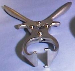 Burdizzotang 23cm baby