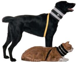 Bite not krage 7", 18cm