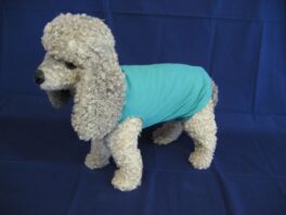 Dog body large female