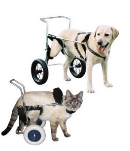 Canis mobile, rullestol small