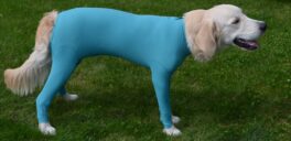 Dog body m/4 bein, XXX-Small female