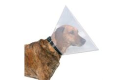 Hundekrage klar 25 cm