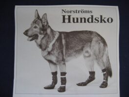 Hundesko str.14 xl fram