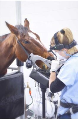 iM3 Pro 2000 Equine with oil free compressor