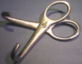 Øyekrok wiener modell