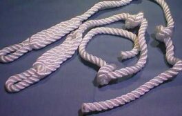 Kalvejekk snorer 2 stk