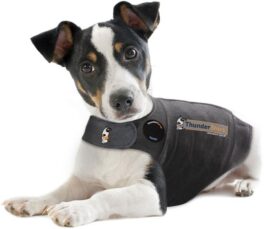 Thundershirt grey L, 19-29kg