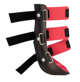 Benskinne framben large