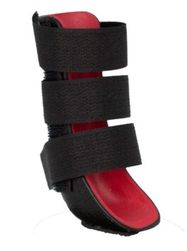 Benskinne framben katt