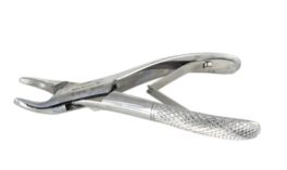 Tanntang cislak EX27