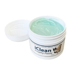 iM3 iClean Prophy Paste Peppermint, Medium 200g