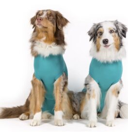 Dog body mini xx-small, female