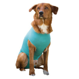 Dog body mini xx-small, female